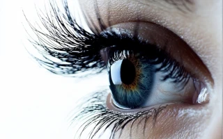 Ламинирование ресниц (верхние и нижние,окрашивание + ботокс) + долговременная укладка бровей (окрашивание + коррекция + ботокс + скраб)