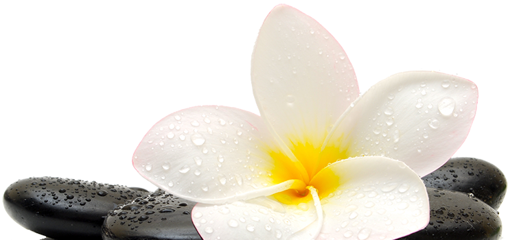 Камни для массажа и СПА